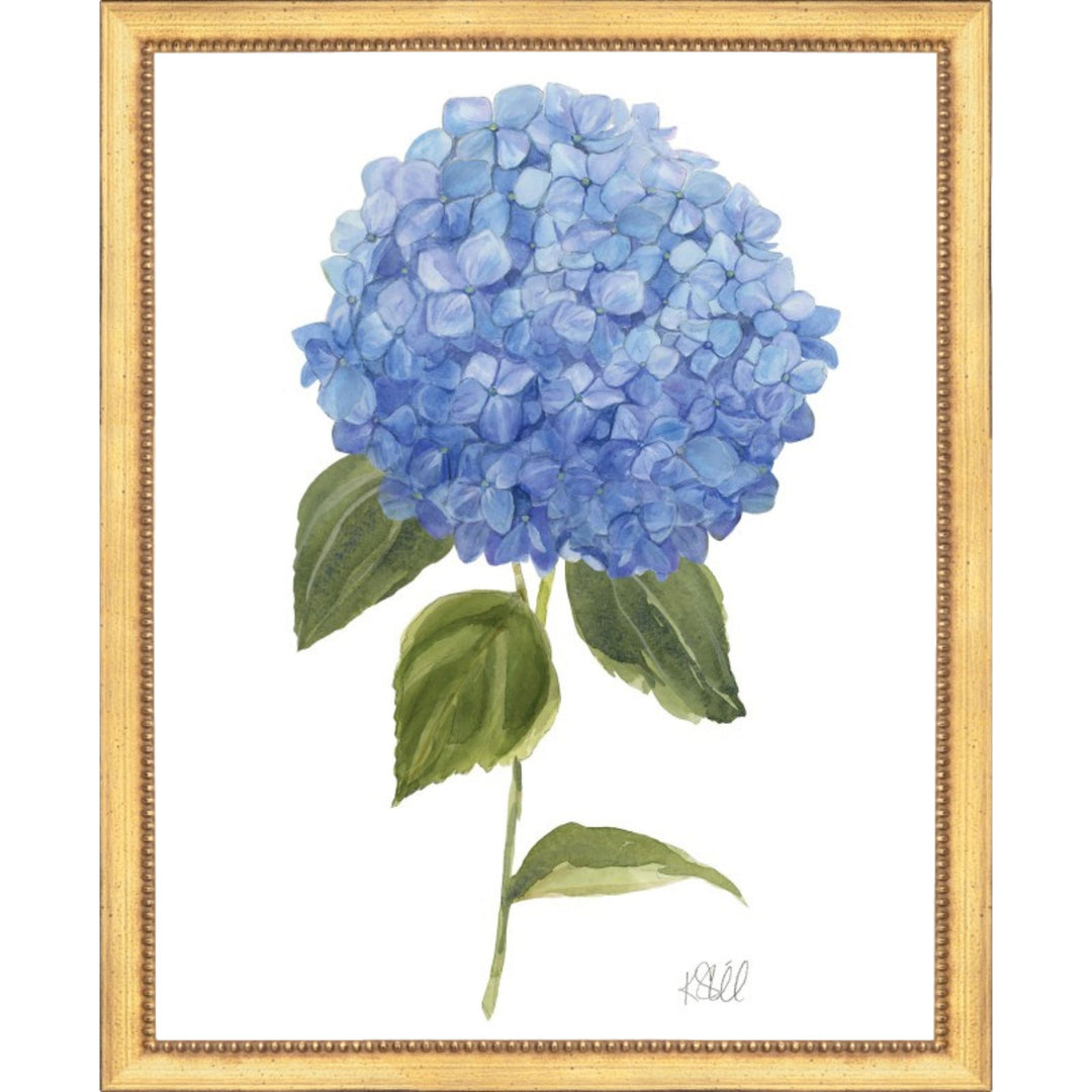 Single Hydrangeas in Bloom Framed Print 22x26 Artwork The Leonard Collection 