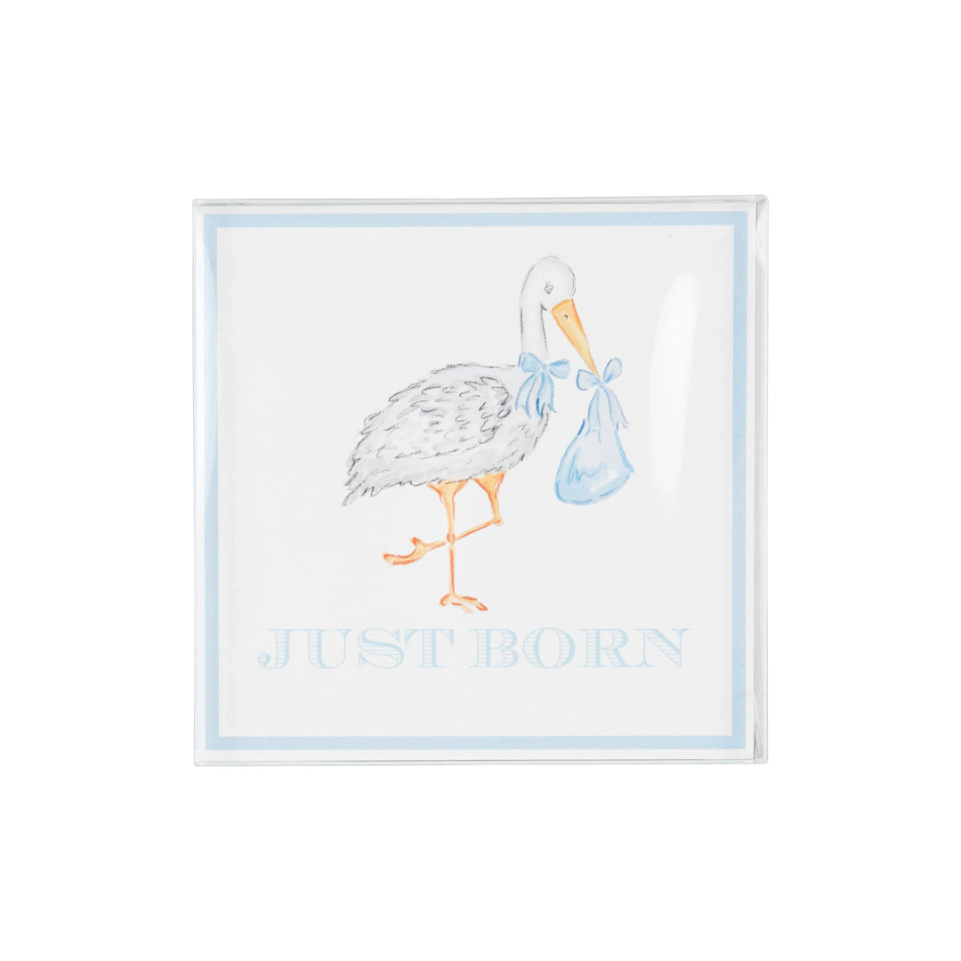 Sir Proper's Month Markers - Buckhead Blue Milestone Cards Beaufort Bonnet 