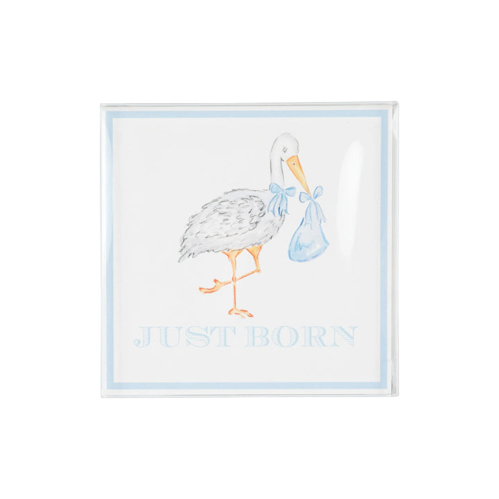 Sir Proper's Month Markers - Buckhead Blue Milestone Cards Beaufort Bonnet 