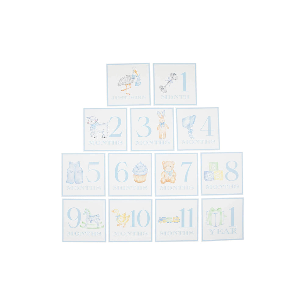 Sir Proper's Month Markers - Buckhead Blue Milestone Cards Beaufort Bonnet 