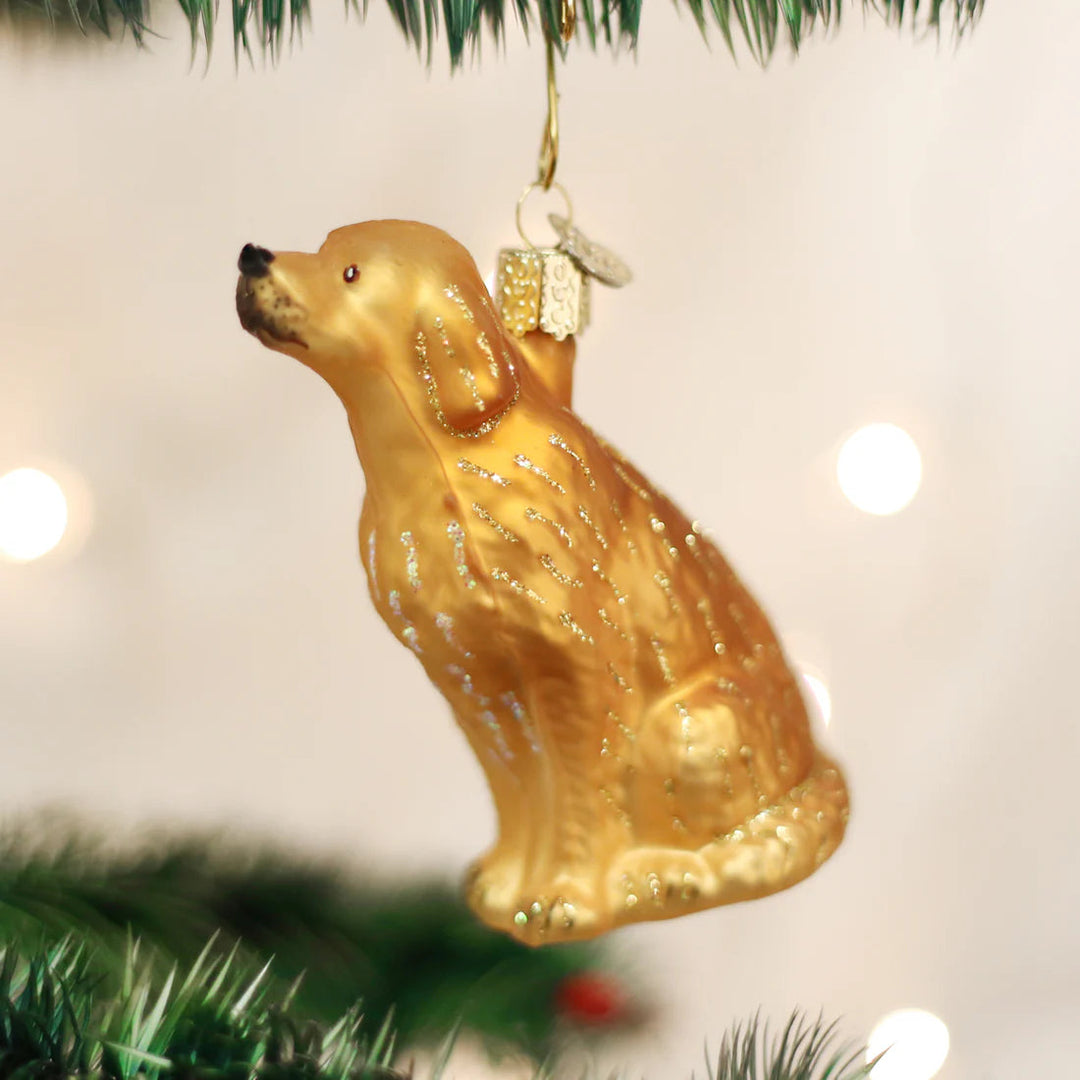 Sitting Golden Christmas Ornament Old World Christmas 