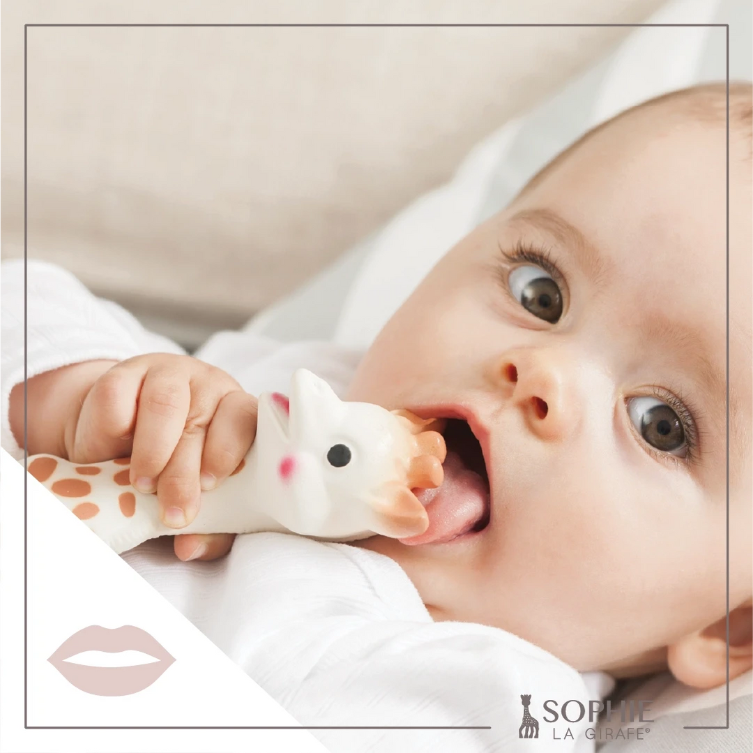 Sophie La Girafe Teething Toy Calisson Toys 