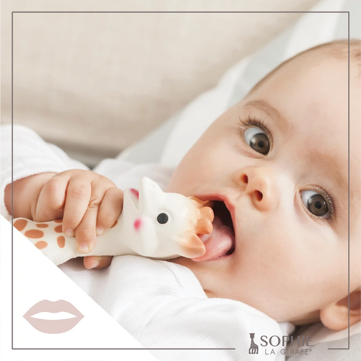 Sophie La Girafe Teething Toy Calisson Toys 