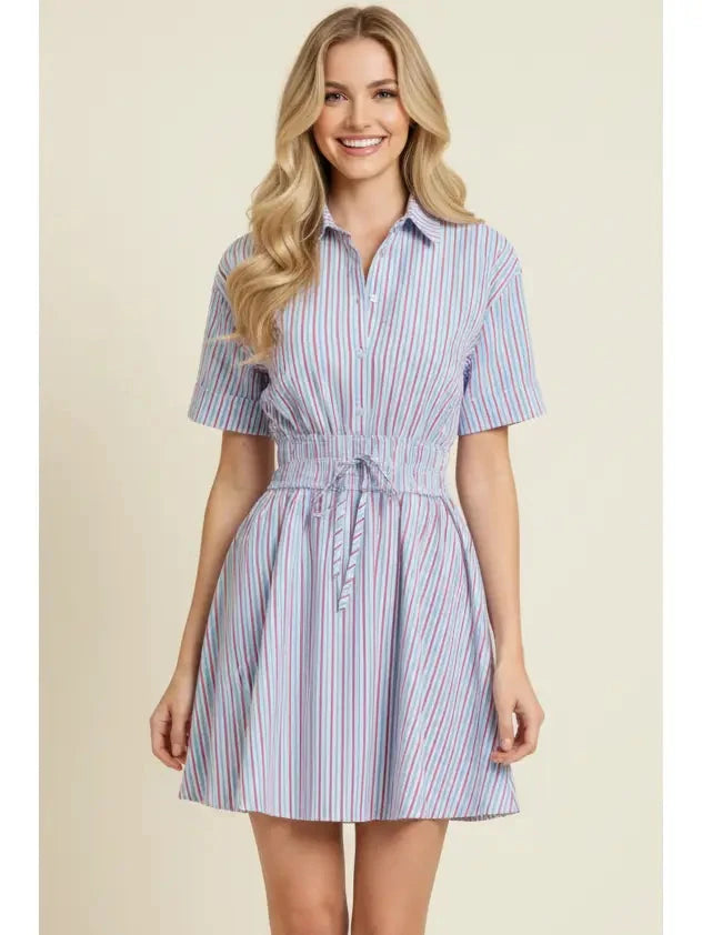 Striped A-Line Button Down Mini Dress Womens Dress Pinch 