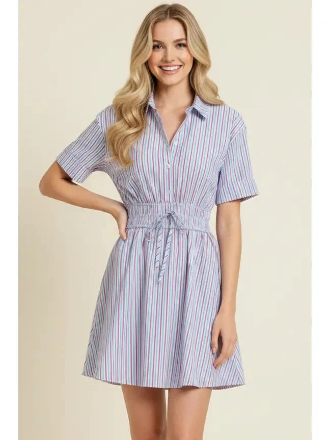 Striped A-Line Button Down Mini Dress Womens Dress Pinch 