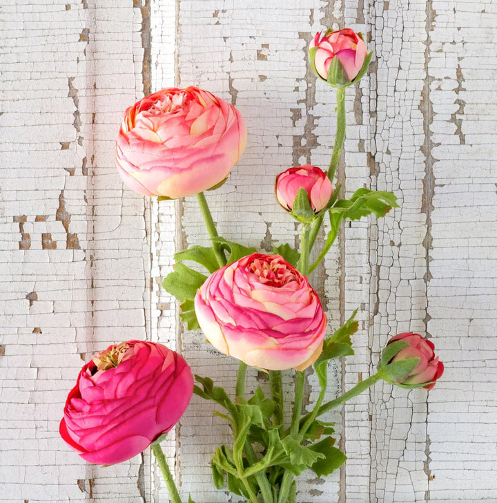Summer Ranunculus - Pinks Spring Decor Park Hill Collection 