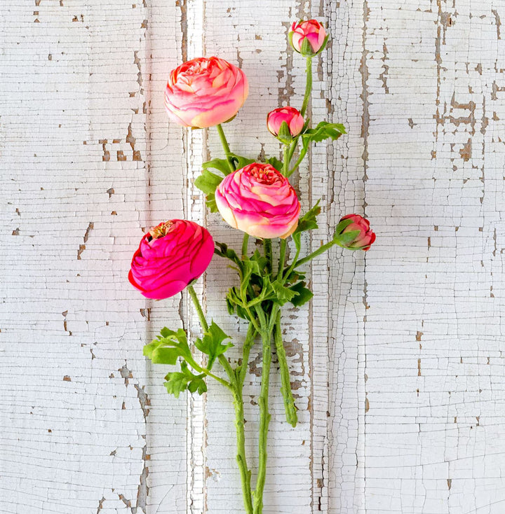Summer Ranunculus - Pinks Spring Decor Park Hill Collection 
