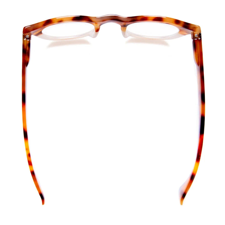 Taylor Readers - Amber Tortoise with Ivory Reading Glasses Ryan Simkhai 