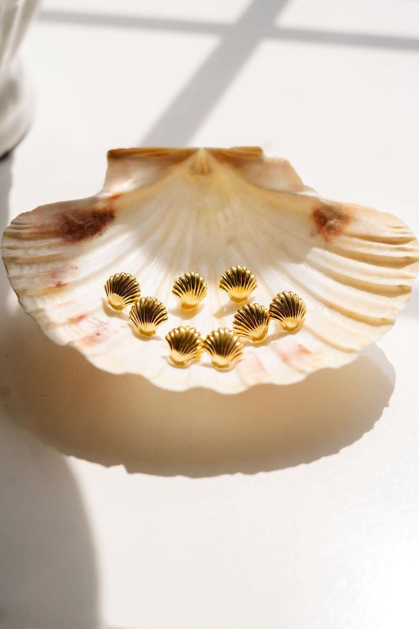 The Meeghan Shell Stud Womens Earrings Lisi Lerch 