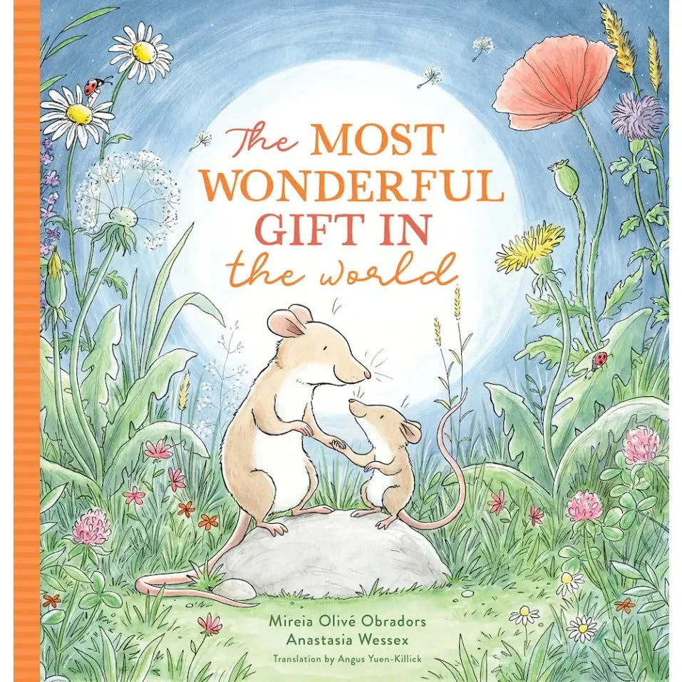 The Most Wonderful Gift in the World Book Sourcebooks 