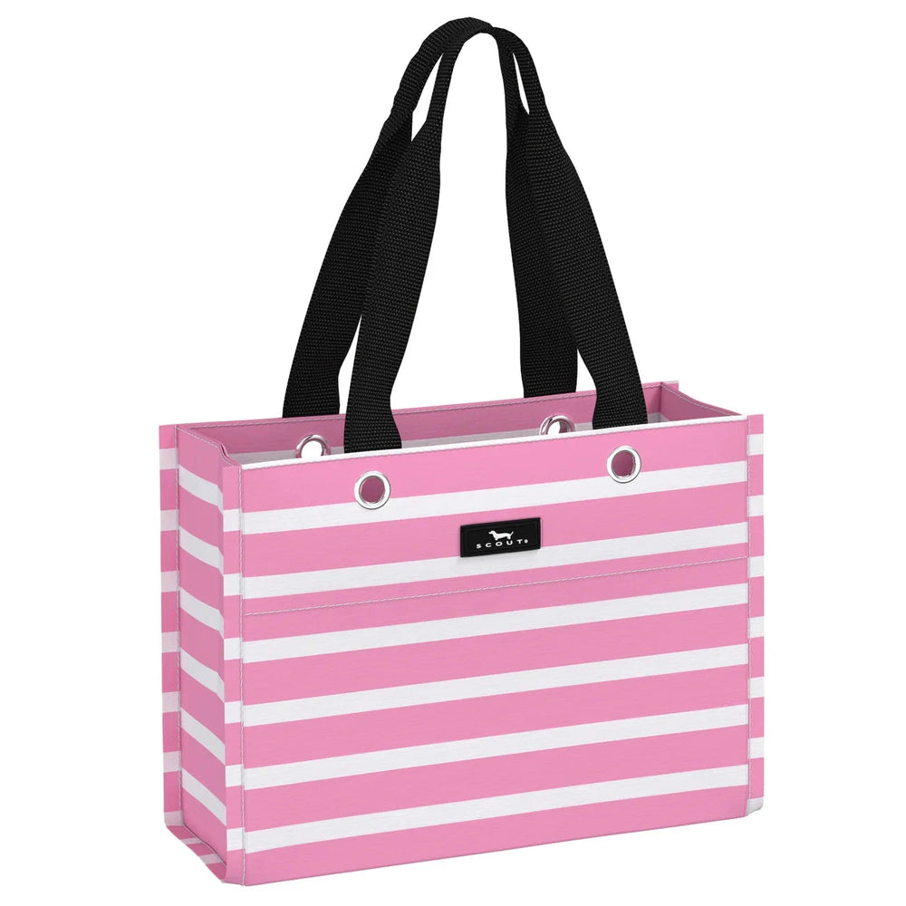 Tiny Package Gift Bag Gift Bag Scout Palmetto Pink 