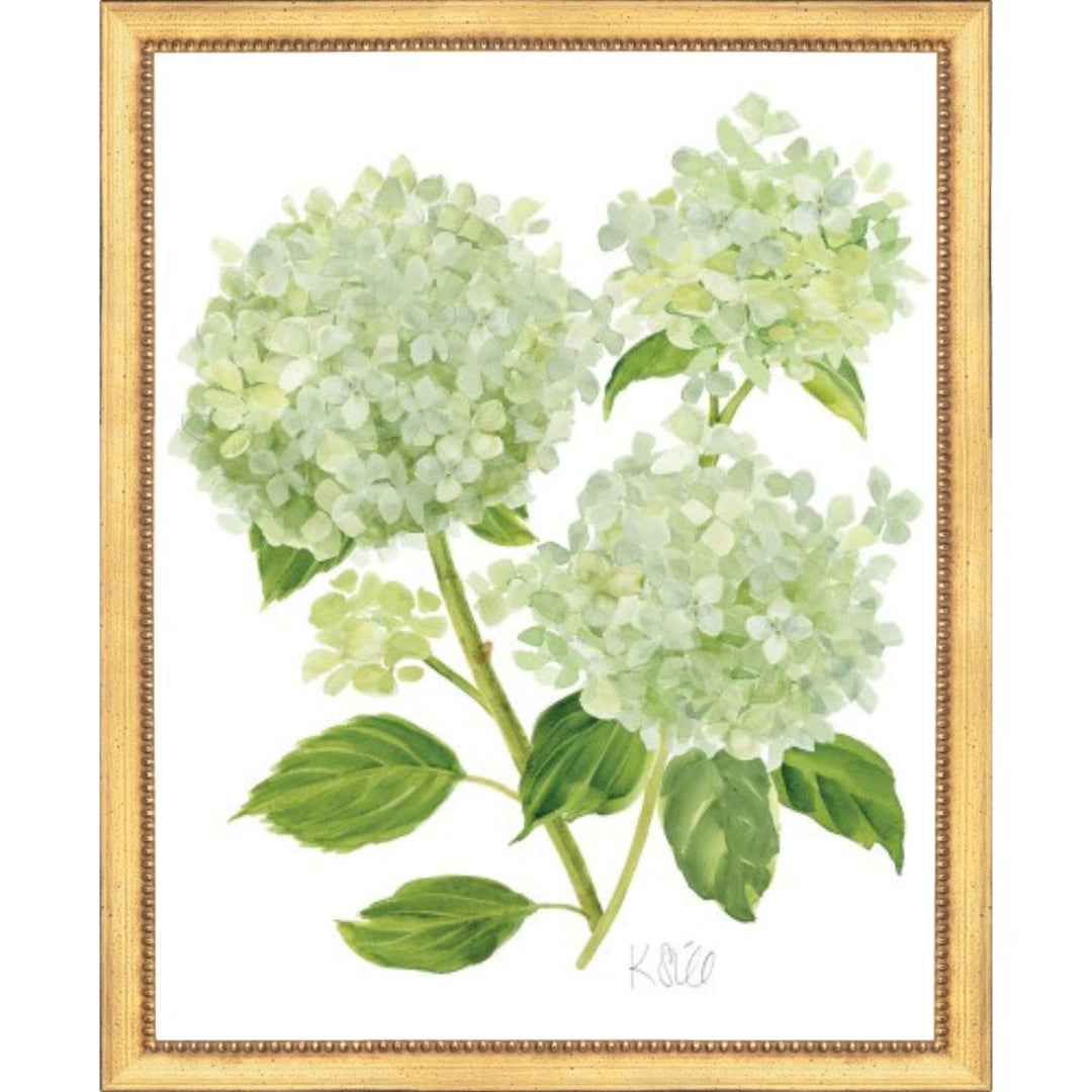 Triple Green Hydrangeas in Bloom Framed Print 22x26 Artwork The Leonard Collection 