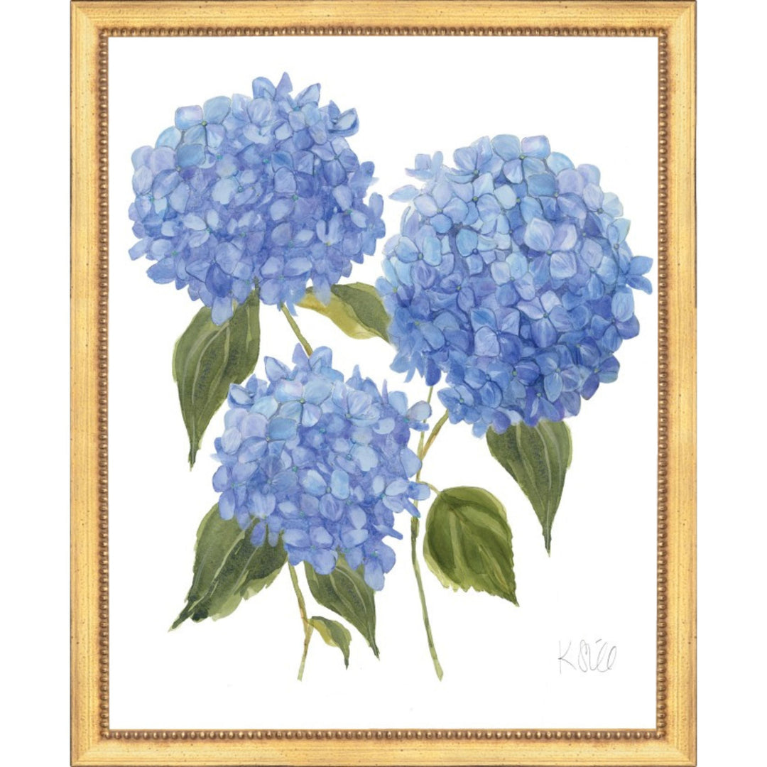 Triple Hydrangeas in Bloom Framed Print 22x26 Artwork The Leonard Collection 