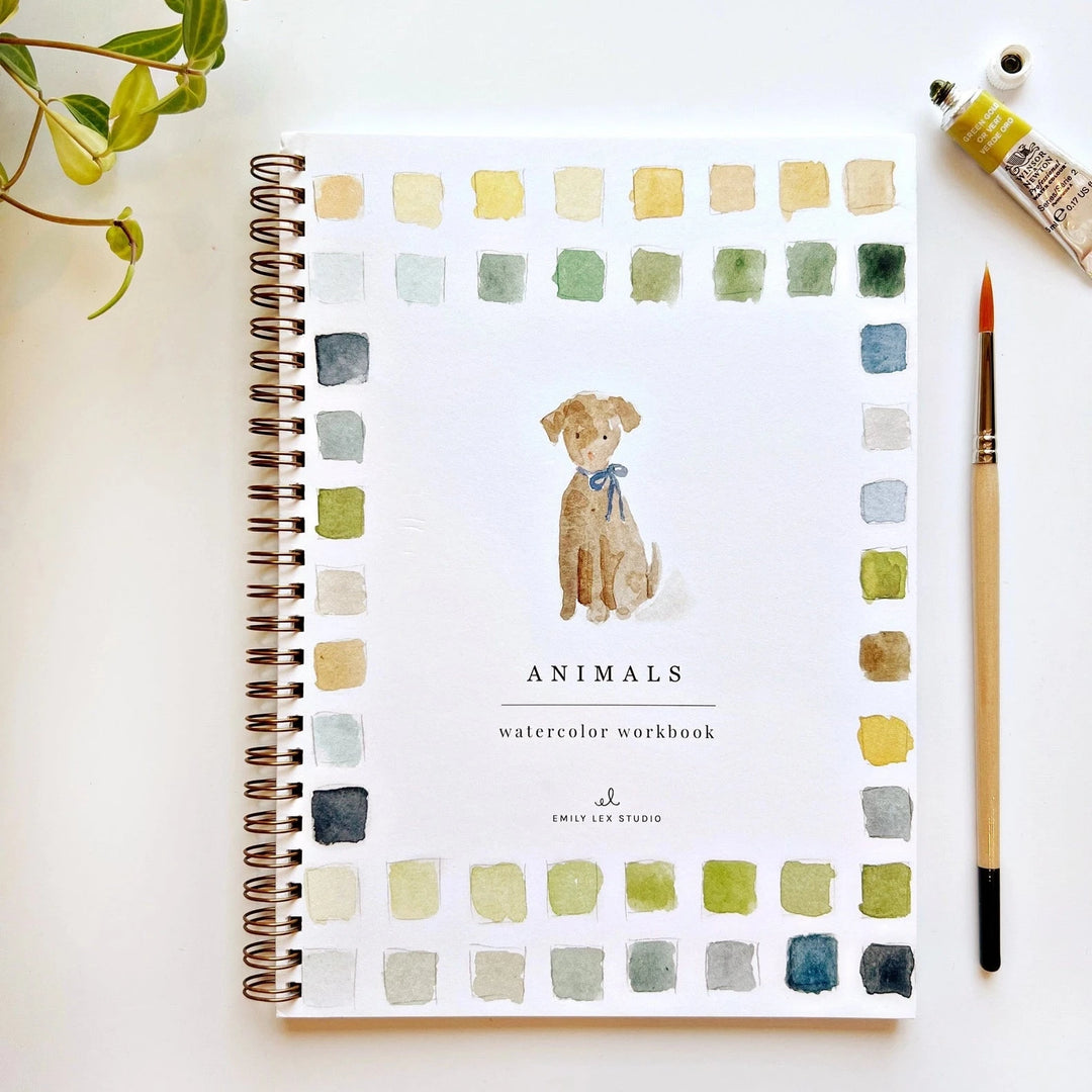 Watercolor Workbook - Animals Toy Craft Kits Emily Lex Studio 