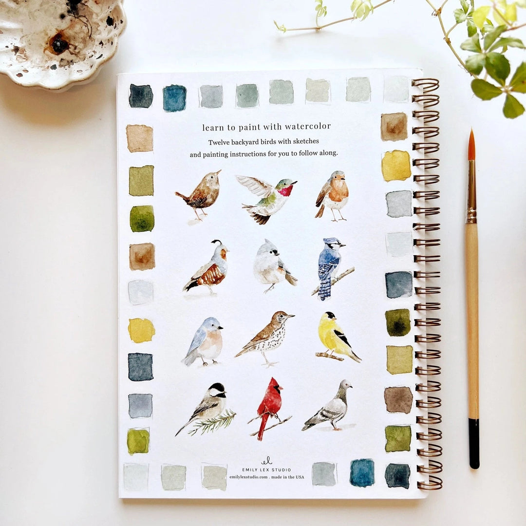 Watercolor Workbook - Birds Toy Craft Kits Emily Lex Studio 