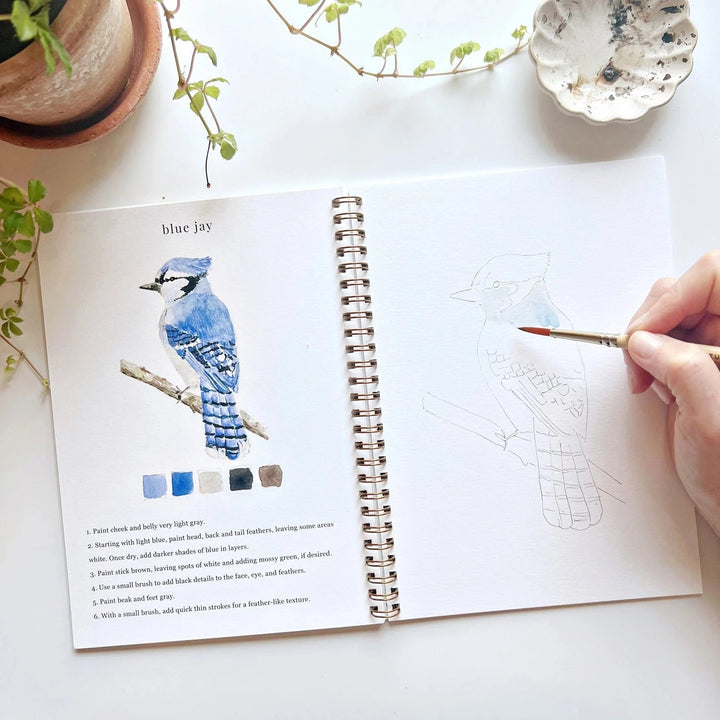Watercolor Workbook - Birds Toy Craft Kits Emily Lex Studio 