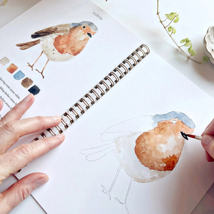 Watercolor Workbook - Birds Toy Craft Kits Emily Lex Studio 