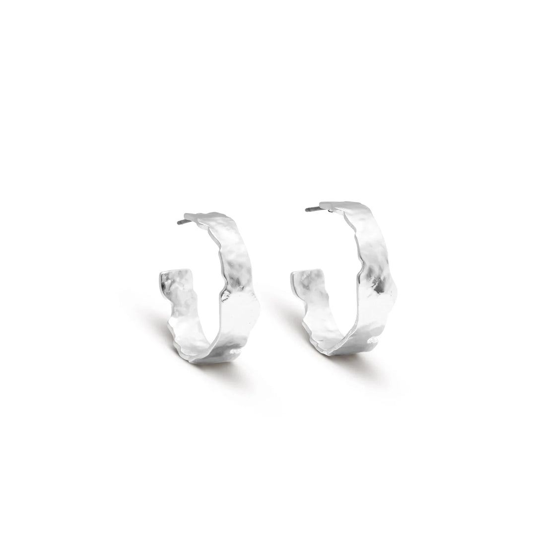 Wendolyn Earrings - Silver Womens Earrings Leslie Curtis Jewelry 