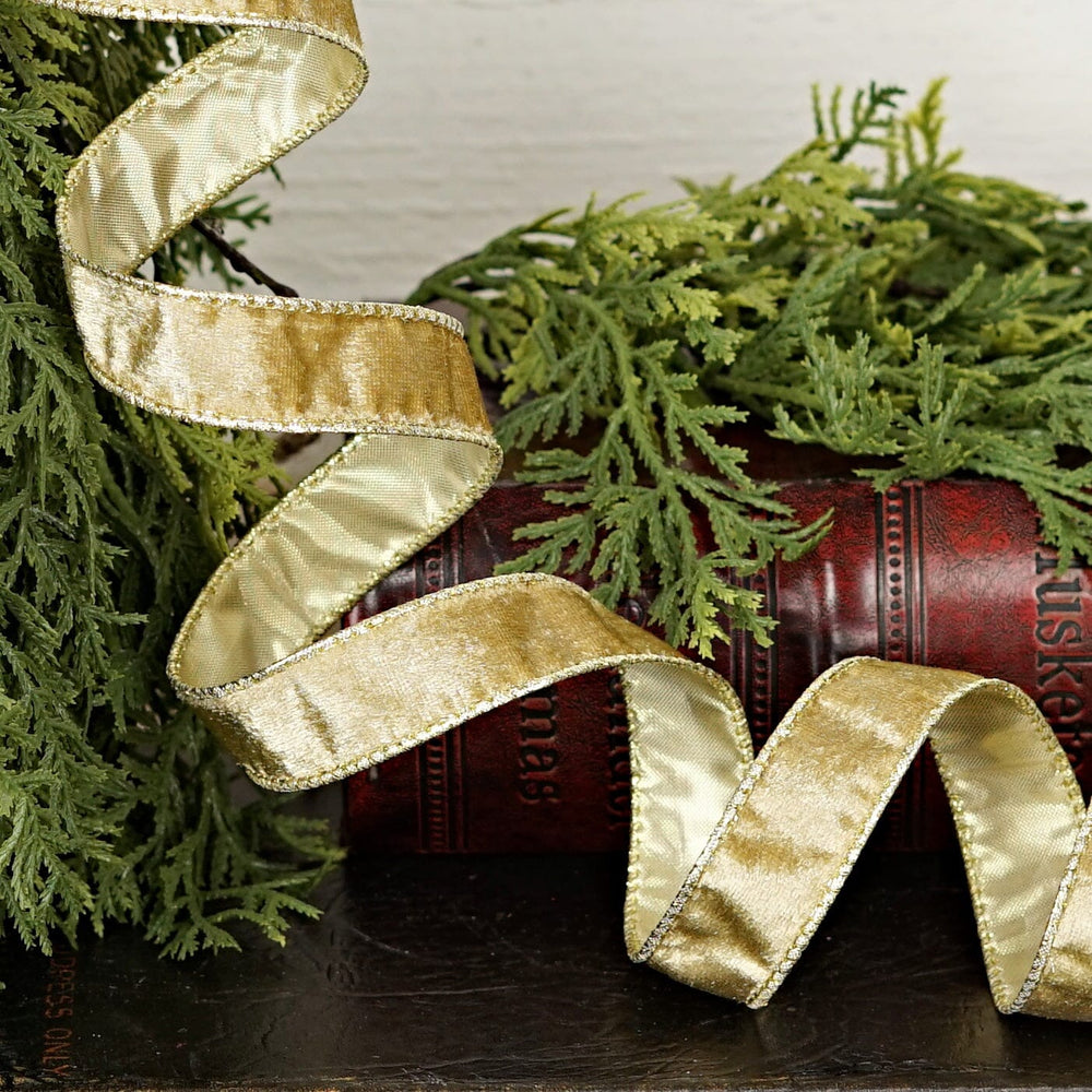 Wired Ribbon - Gold Velvet Gift Ribbon Impressive Enterprises 