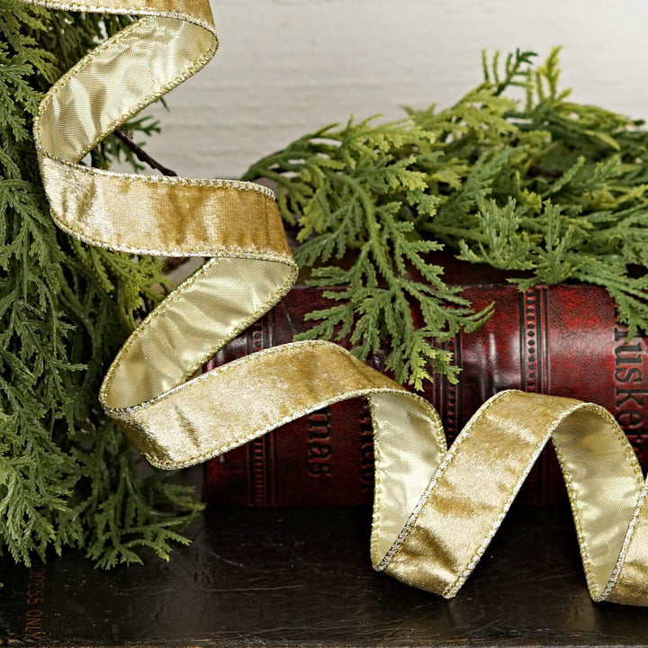 Wired Ribbon - Gold Velvet Gift Ribbon Impressive Enterprises 