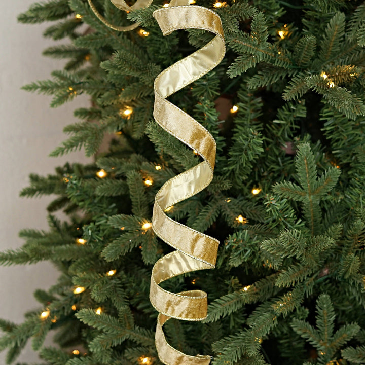 Wired Ribbon - Gold Velvet Gift Ribbon Impressive Enterprises 