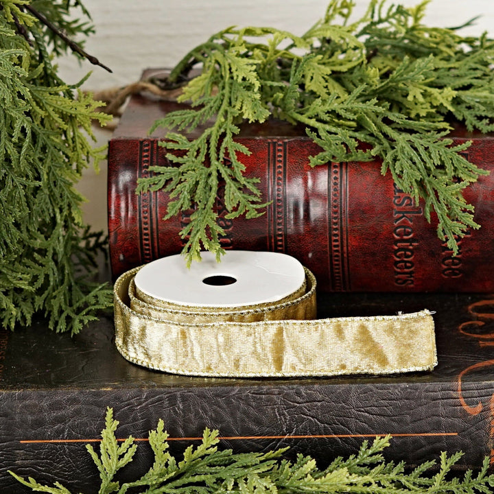 Wired Ribbon - Gold Velvet Gift Ribbon Impressive Enterprises 