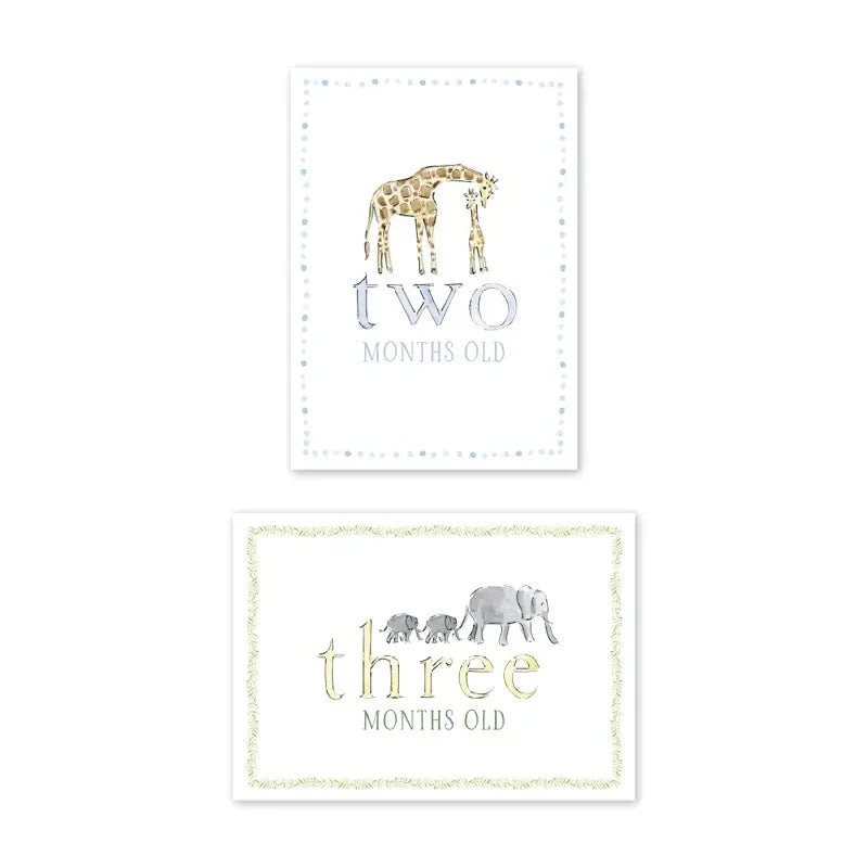Zoo in the City Milestone Cards Milestone Cards Dogwood Hill 