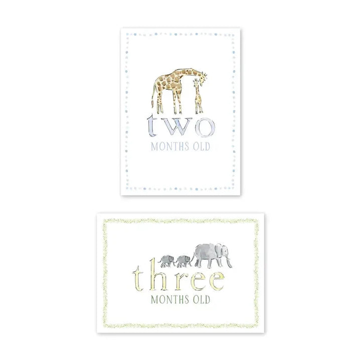 Zoo in the City Milestone Cards Milestone Cards Dogwood Hill 