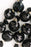 Black Sequin Lido Pom Pom Earrings Earrings St. Armands Designs 