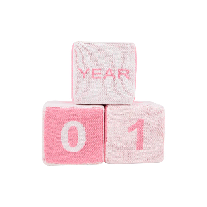 Blaylock Blocks - Pink Milestone Blocks Beaufort Bonnet 