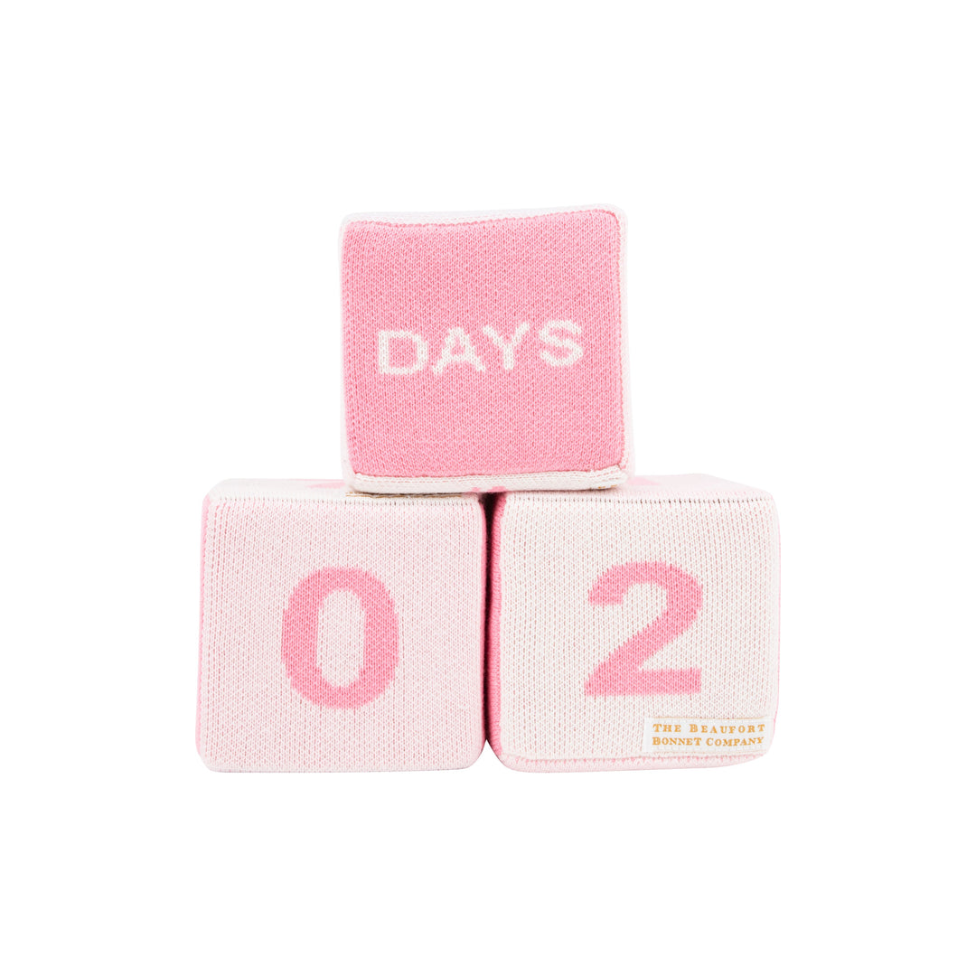 Blaylock Blocks - Pink Milestone Blocks Beaufort Bonnet 