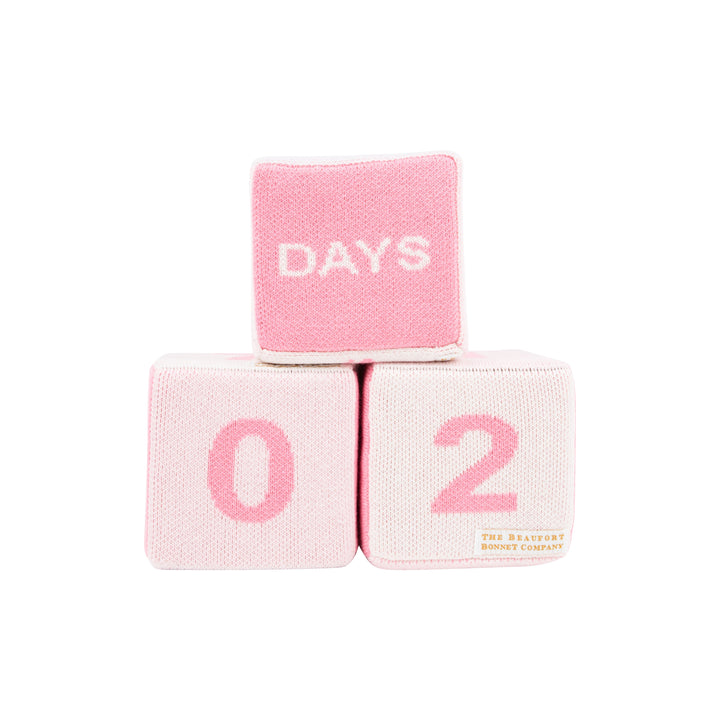 Blaylock Blocks - Pink Milestone Blocks Beaufort Bonnet 