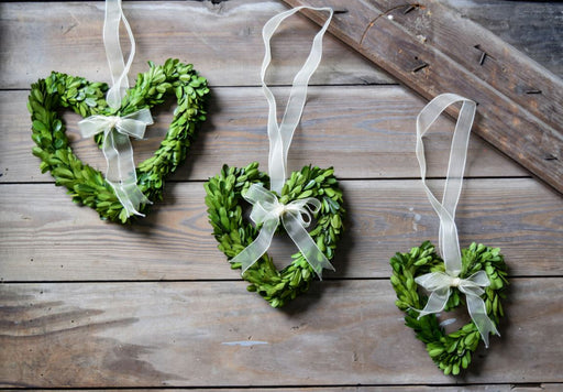 Boxwood Heart with Ribbon Home Decor Mills Floral 