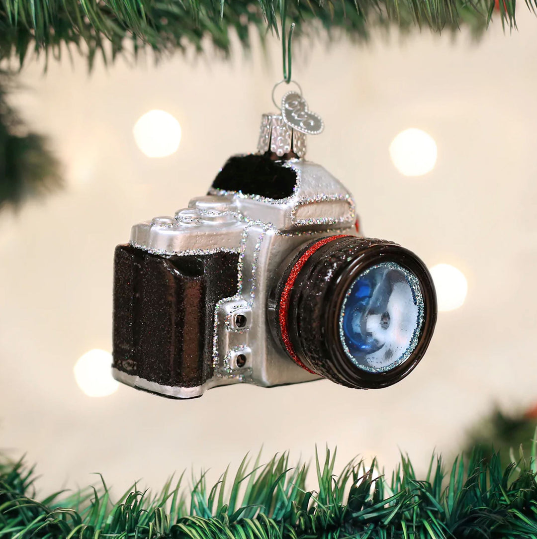 Camera Ornament Ornament Old World Christmas 
