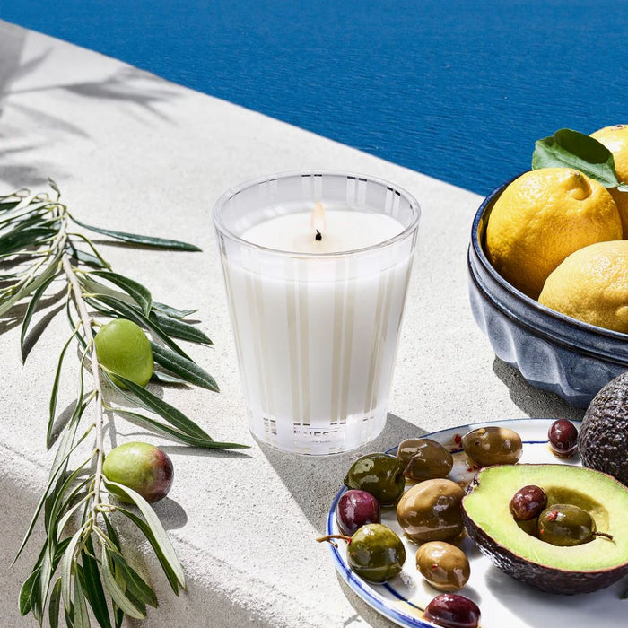 Classic Candle 8.1 oz - Santorini Olive and Citron Candle Nest 