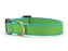 Dog Collar Dog Upcountry Medium Green/Light Blue