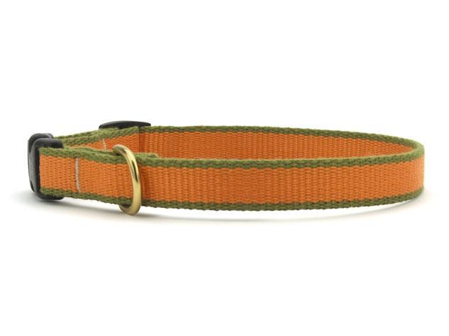 Dog Collar Dog Upcountry Teacup Orange/Green