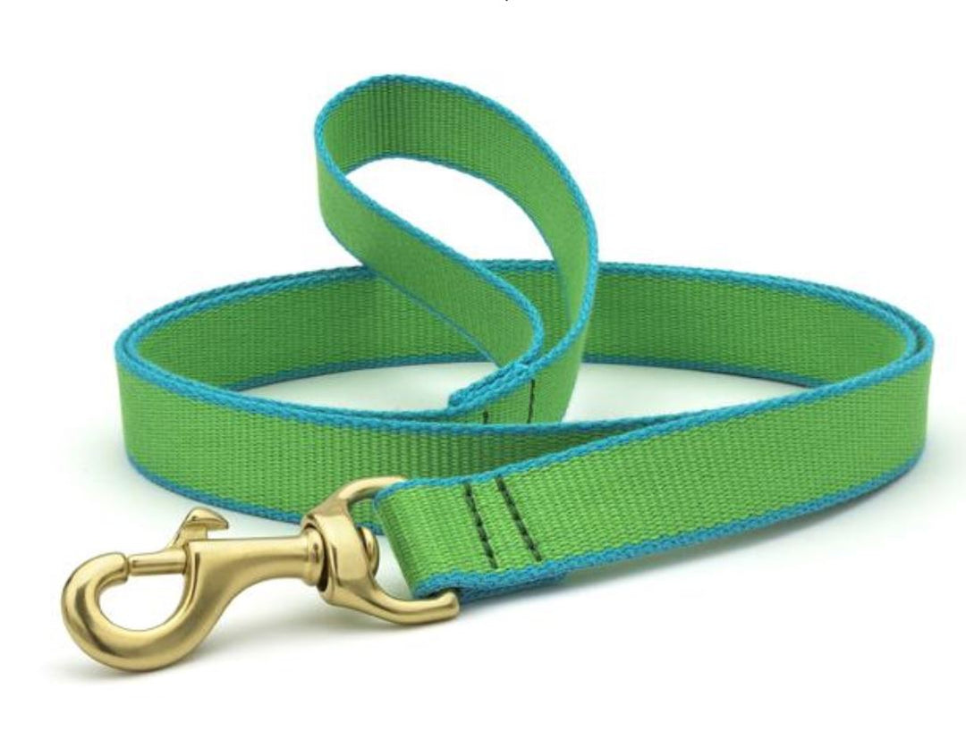 Dog Leash Dog Upcountry Green/Light Blue 