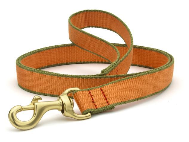 Dog Leash Dog Upcountry Orange/Green