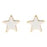 Epoxy Star Earrings Earrings Golden Stella White 