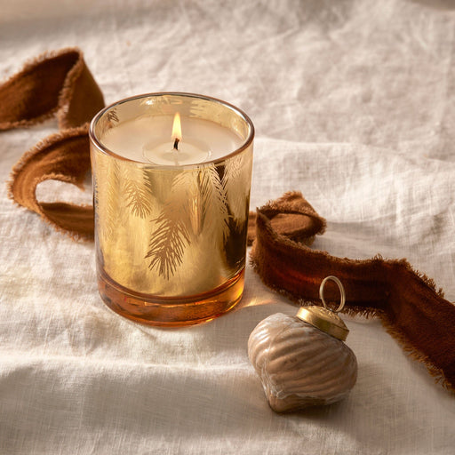 Frasier Fir Gilded Gold Poured Candle Candle Thymes 