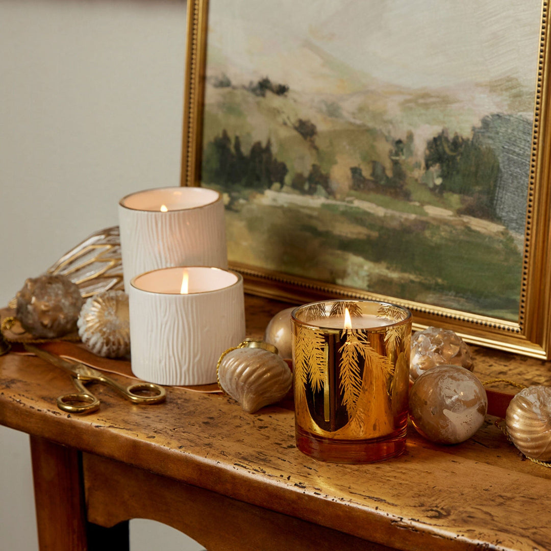 Frasier Fir Gilded Gold Poured Candle Candle Thymes 