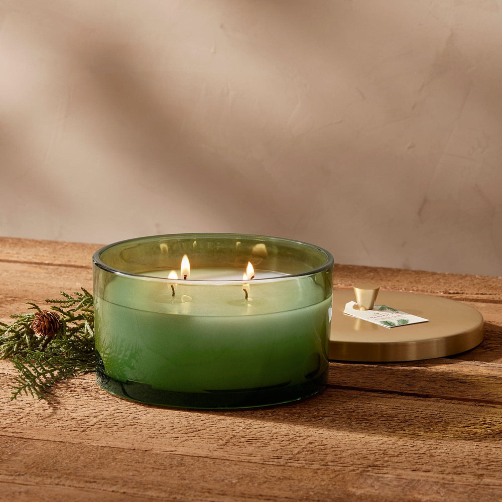 Frasier Fir Green 4-Wick Candle Candle Thymes 