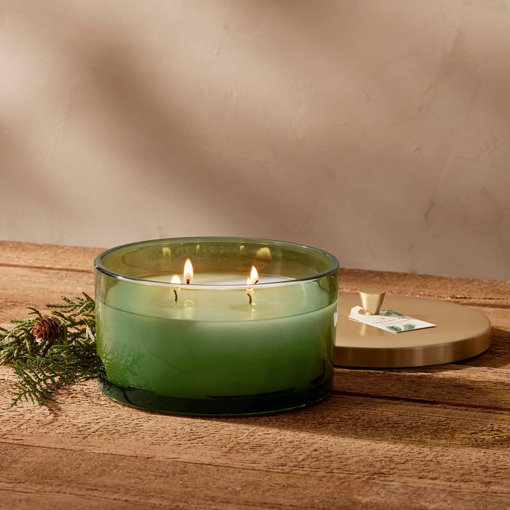 Frasier Fir Green 4-Wick Candle Candle Thymes 