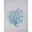 Hand Printed Kitchen Flour Sack Towels Kitchen Towel Low Country Linens Sea Fan 