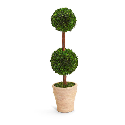 Hedges Lane 31 1/2" Preserved Boxwood Double Ball Topiary in Planter Topiary Two's Company 