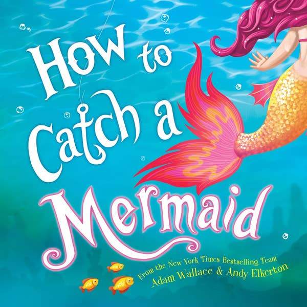 How to Catch a Mermaid Book Sourcebooks 