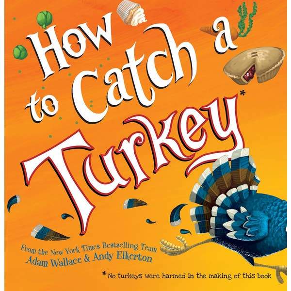 How to Catch a Turkey Book Sourcebooks 