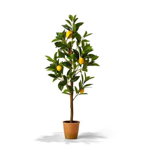 Lemon Tree in Pot Floral Two's Company 