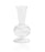 Majorelle Optic Vase Vase Zodax 